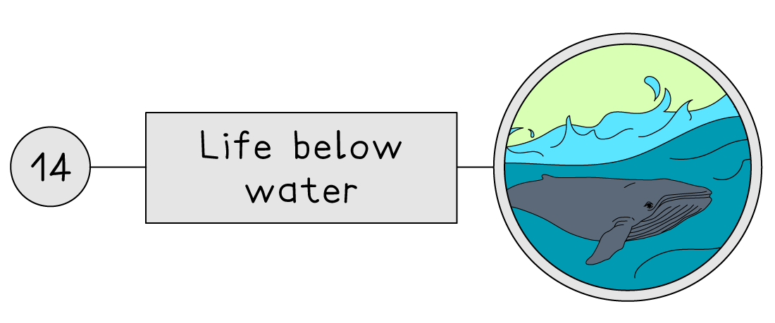 screen-shot-2023-01-09-at-11-26-17-am