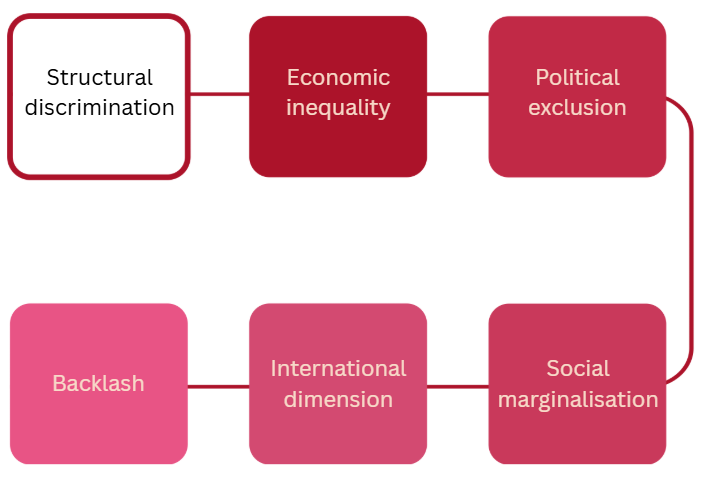 Diagram of linked boxes showing a cycle: structural discrimination, economic inequality, political exclusion, social marginalisation, international dimension, backlash
