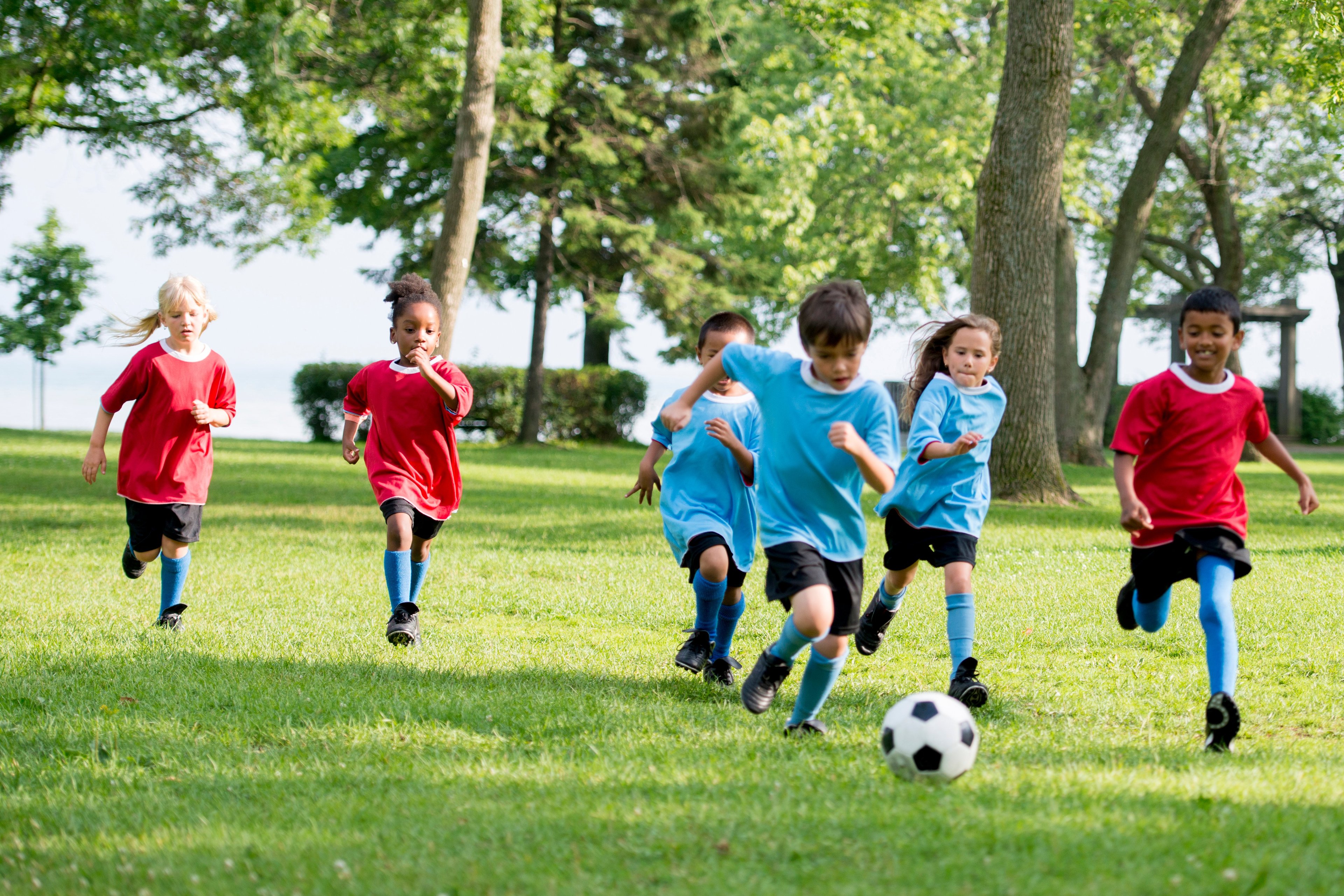 group of kids playing soccer