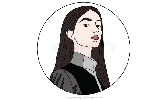 Minimalist illustration of a serious young woman with long brown hair and raised eyebrow, wearing a dark jacket and grey shirt in a circular frame