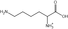 Chemical structure of lysine with the chain (non-terminal) amine group protonated to NH3+.