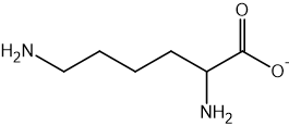 Chemical structure of lysine with the carboxylic acid group deprotonated to COO-.