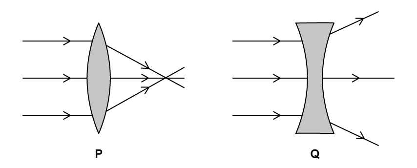Lens P: parallel rays enter from the left and converge to a focal point on the right side of the lens.
Lens Q: parallel rays enter from the left and diverge (spread out) after passing through the lens.