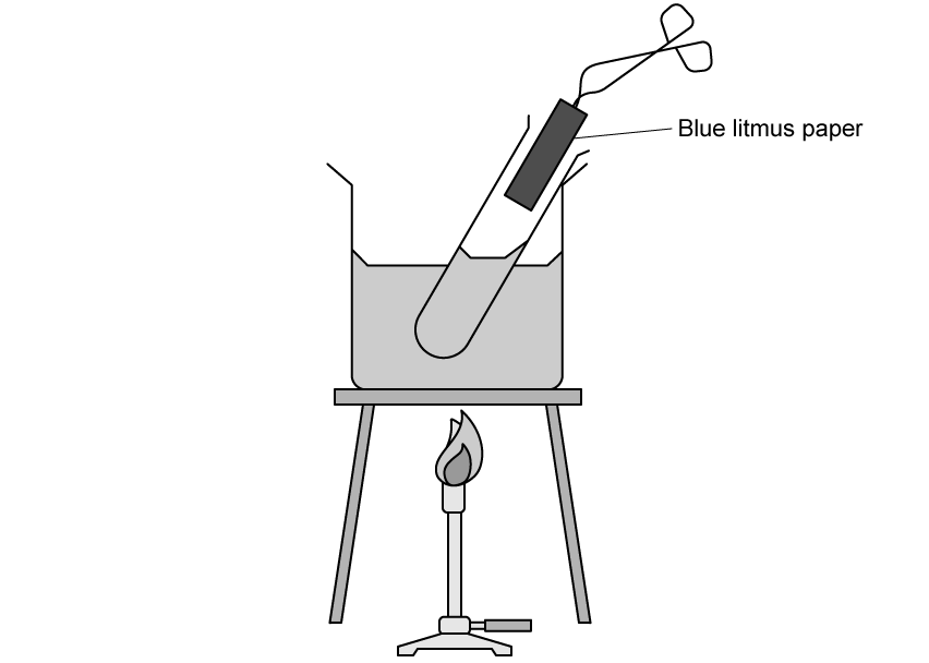 Test tube with blue litmus paper in a beaker of water above a lit Bunsen burner on a tripod stand, illustrating a chemical reaction setup.