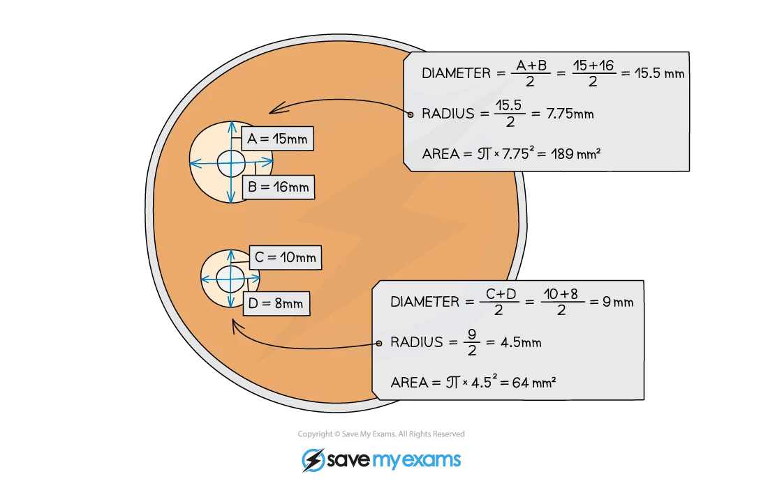Diagram showing circles with diameters and areas calculated. One circle has A=15mm, B=16mm; diameter=15.5mm, area=189mm². Another has C=10mm, D=8mm; diameter=9mm, area=64mm².