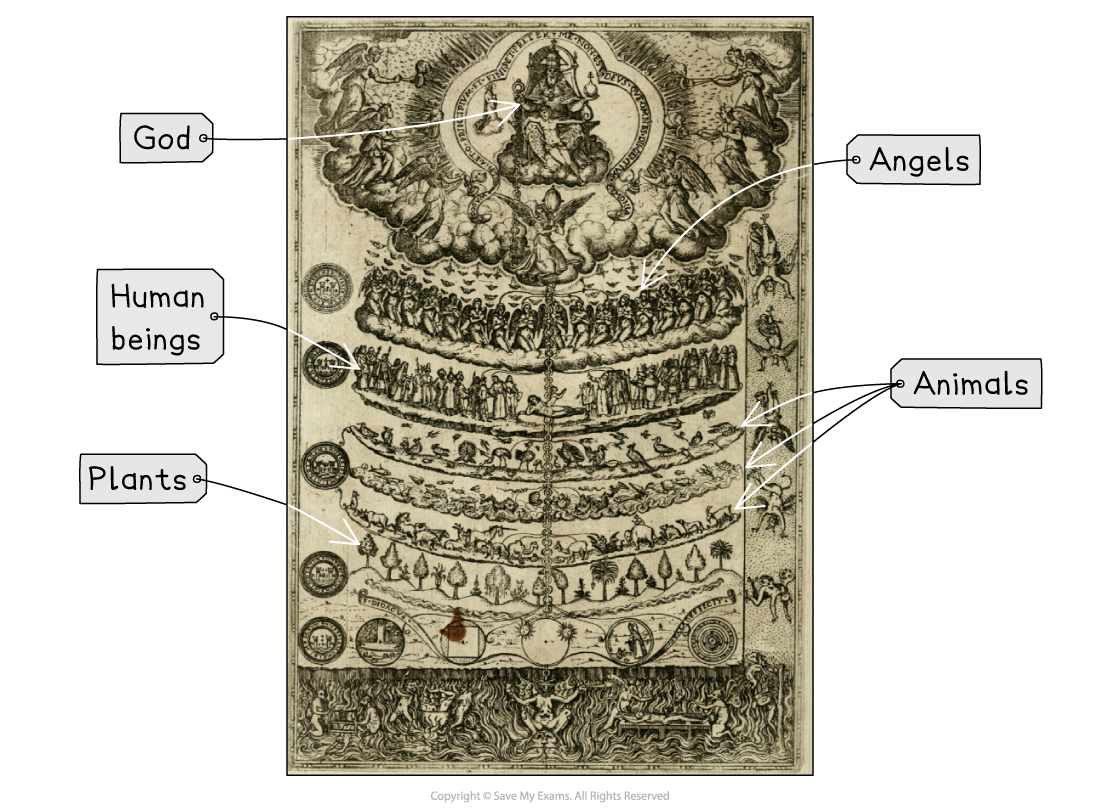 Medieval Great Chain of Being diagram, labelled to show God and angels at the top, then human beings, animals, plants and hell at the bottom