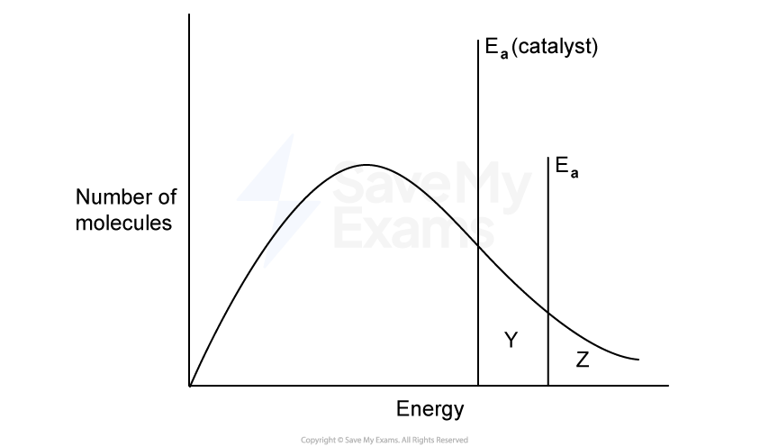 Maxwell-Boltzmann distribution curve with two vertical dashed lines marking the catalysed and uncatalysed activation energies. The area between the two dashed lines is labelled Y. The area to the right of the uncatalysed activation energy is labelled Z.