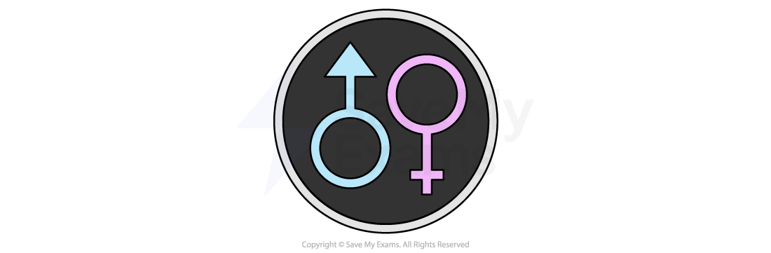 Symbols for male and female on a black circle with a white border; blue male symbol with arrow, pink female symbol with cross.