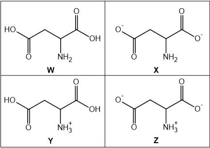 Four chemical structures labeled W, X, Y, and Z showing variations of aspartic acid.