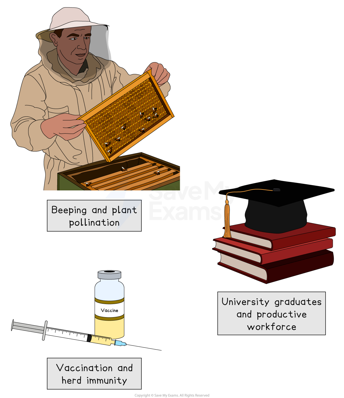 External benefits from beekeeping, education and vaccinations