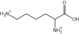 Chemical structure of lysine with both amine groups protonated to NH3+.