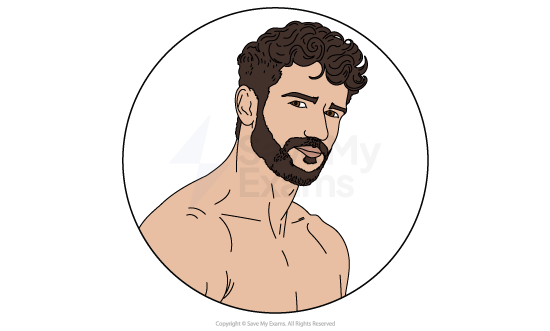 Illustration of a shirtless man with curly hair and a beard, facing slightly to the side, set within a circular frame.