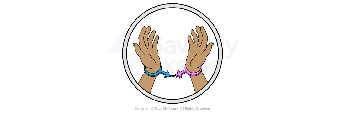 Two hands are raised with wrists in handcuffs. The left cuff is blue, and the right is pink. The image is encircled by a thick black line.