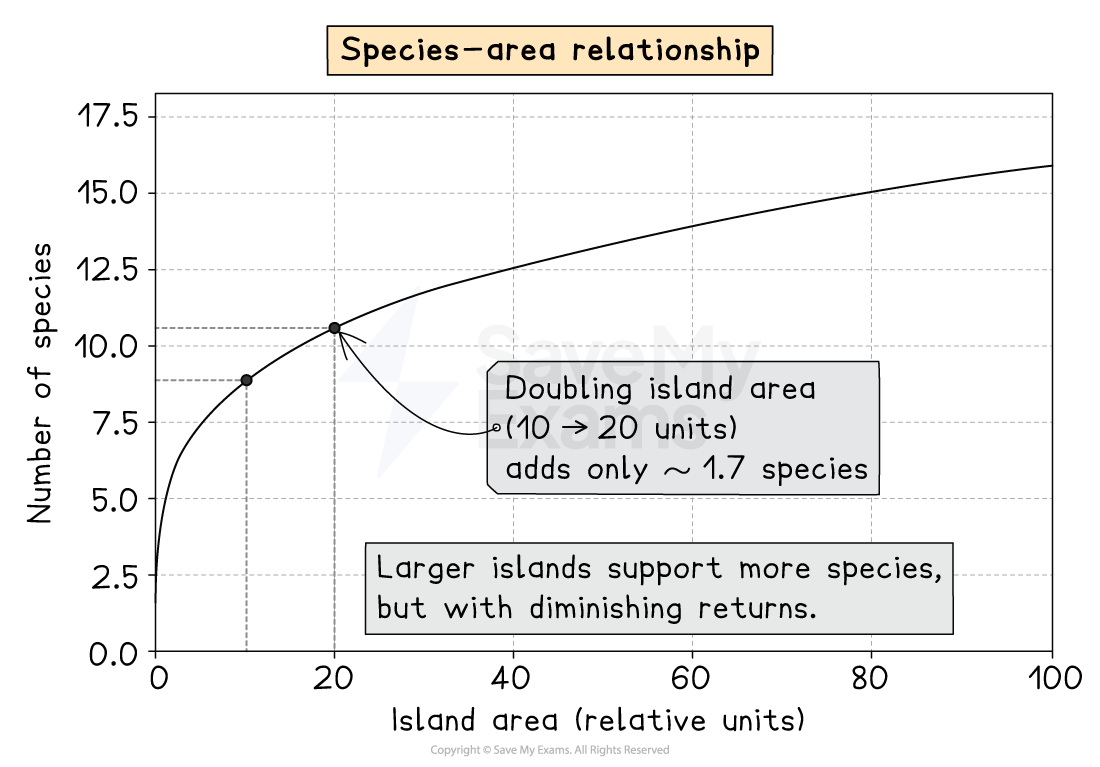 Graph of species–area relationship showing species number rising with island area but levelling off, illustrating diminishing returns as area doubles.