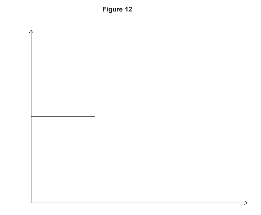 Figure 12: blank Cartesian graph with horizontal and vertical axes, and a short horizontal line segment from the y-axis across the middle left