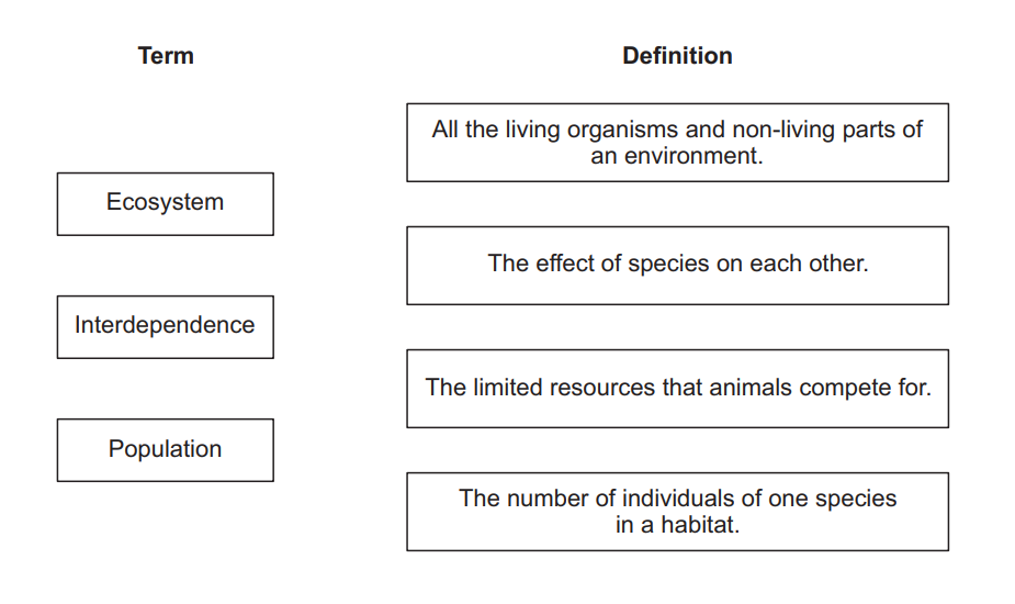 Worksheet showing ecology terms (ecosystem, interdependence, population) on the left and four matching definitions about organisms, habitats and limited resources