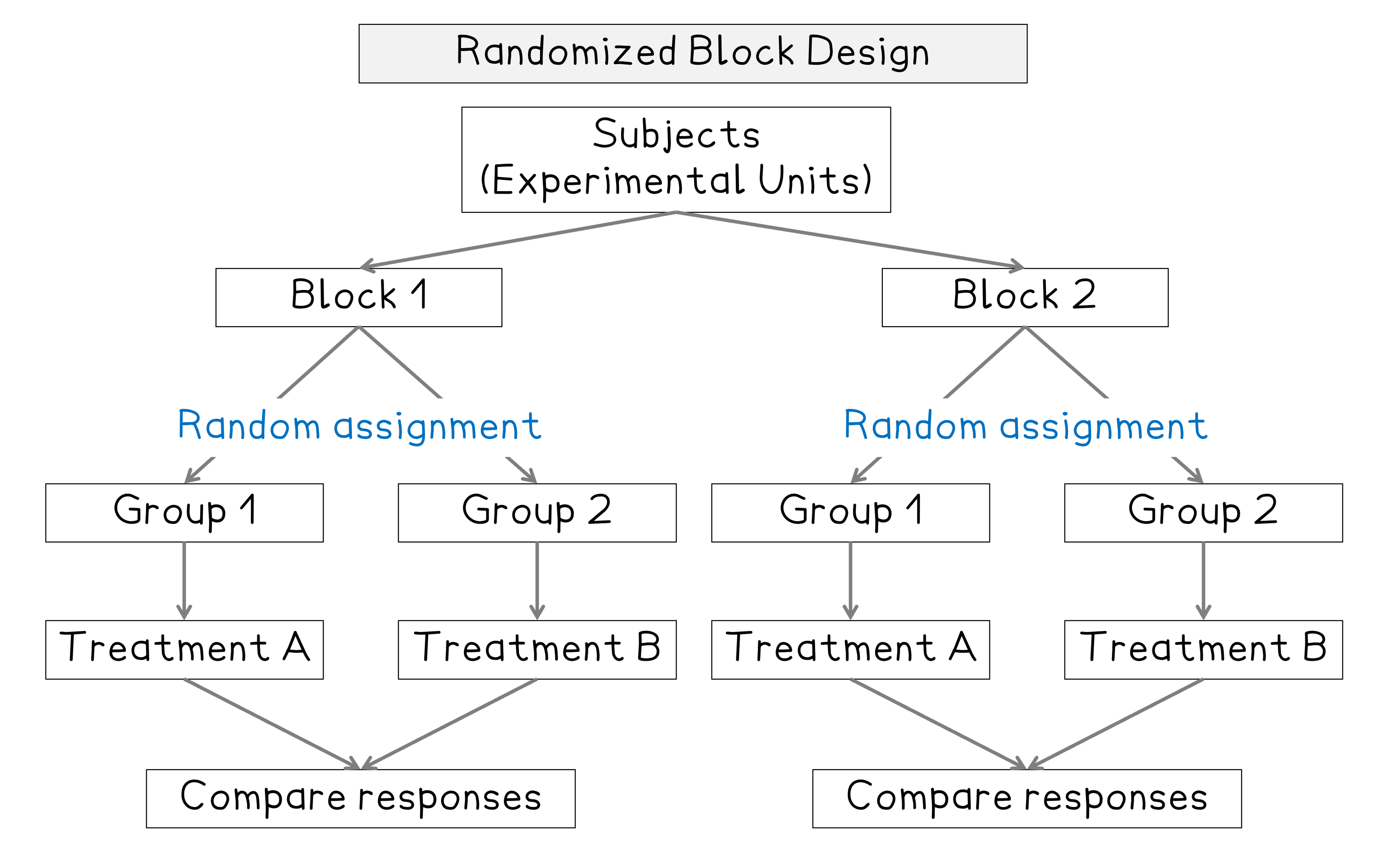 Flowchart of a randomised block design: subjects split into blocks, then randomly into groups receiving Treatment A or B, then responses are compared.