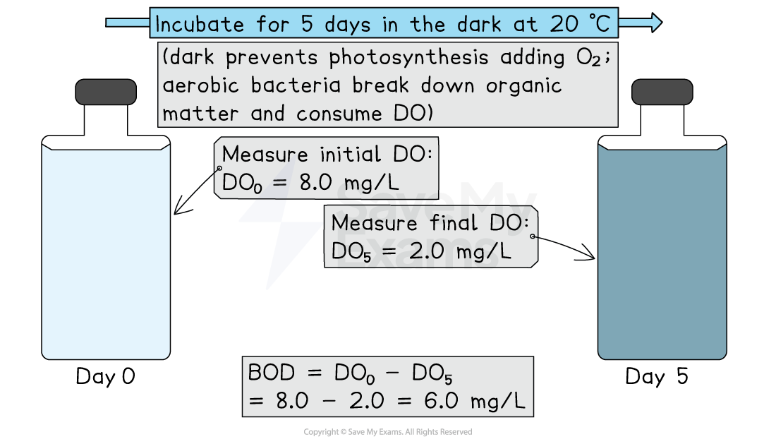 Diagram of BOD test: water sample incubated 5 days at 20 °C in dark; dissolved oxygen falls from 8.0 to 2.0 mg/L so BOD = 6.0 mg/L.