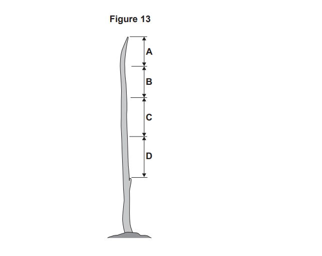 Diagram of a tall, narrow vertical object labelled Figure 13, with four measured segments along its height marked A, B, C and D from top to bottom.
