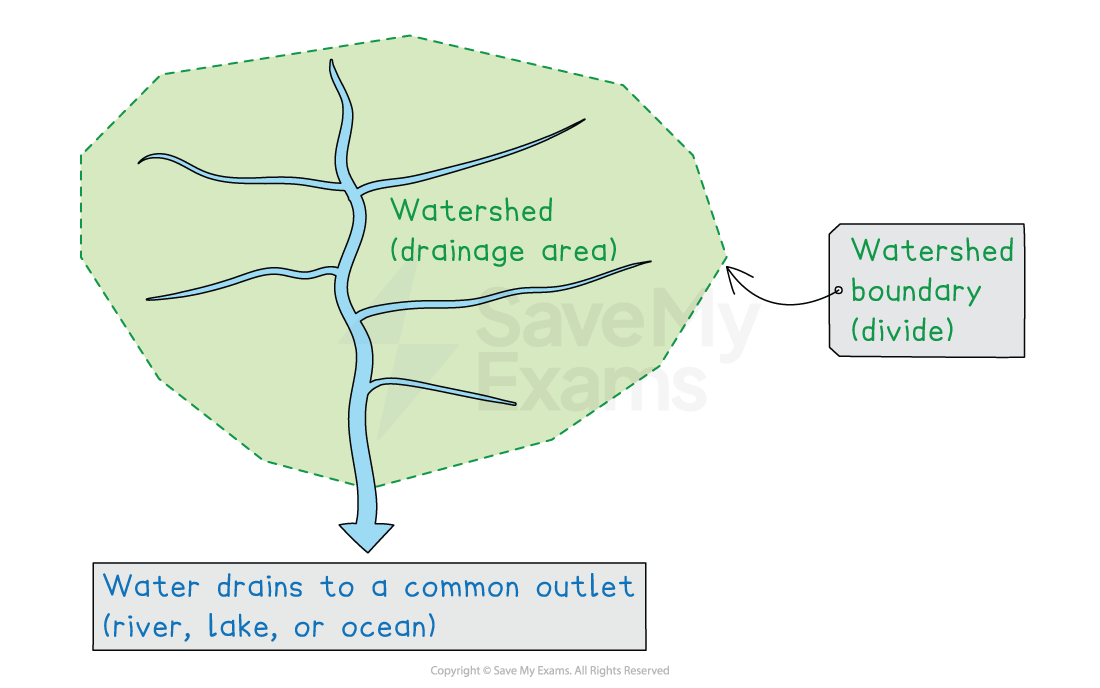 Diagram of a watershed showing streams within a green drainage area, dashed watershed boundary, and water flowing to a common outlet such as a river or lake