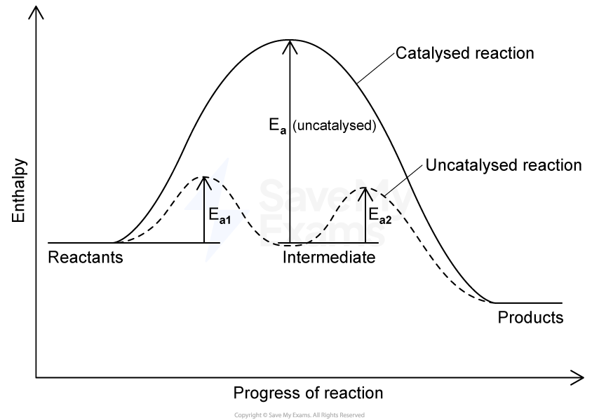 A reaction energy profile showing two curves against axes labelled Energy (y) and Reaction progress (x). A solid line shows the uncatalysed reaction with a single tall peak; a dashed line shows the Fe2+ catalysed reaction with two smaller humps separated by a trough labelled Intermediate. Upward arrows indicate Ea (uncatalysed) from the reactants level to the uncatalysed peak, Ea1 from the reactants level to the first catalysed peak, and Ea2 from the intermediate trough to the second catalysed peak. The products level is lower than the reactants level.