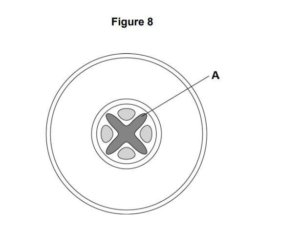 Figure 8 diagram of a circular object with concentric rings and a central four‑armed cross shape, labelled point A at the centre.