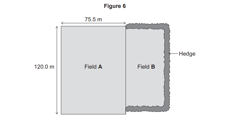 Diagram of two adjacent rectangular fields, A and B, 120 m long. Field A is 75.5 m wide; Field B is bordered on three outer sides by a hedge.