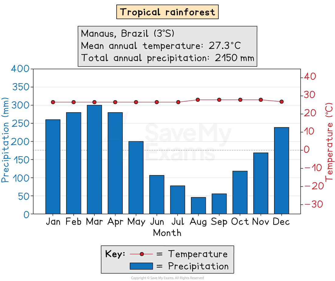 Climate graph for Manaus, Brazil showing high, constant temperature around 27°C and heavy rainfall with a drier period June to September
