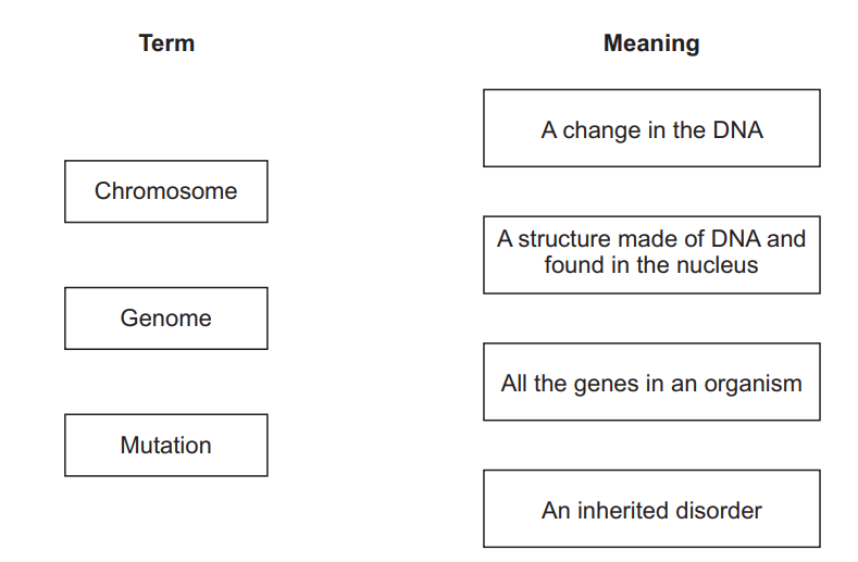 Matching question showing terms Chromosome, Genome and Mutation on the left and four DNA-related definitions on the right for students to link correctly