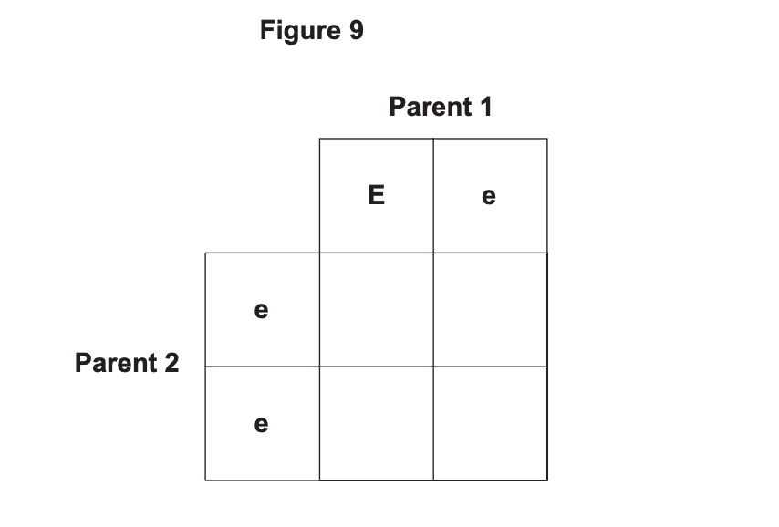 Figure 9: incomplete 2×2 Punnett square with Parent 1 alleles E and e on top and Parent 2 alleles e and e on the left side
