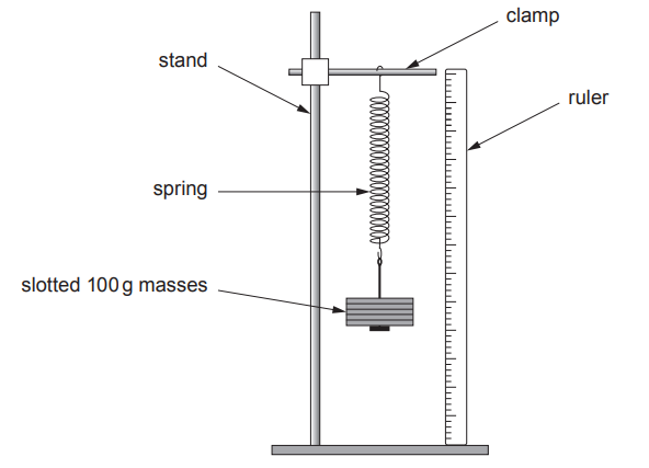 Diagram of a vertical stand with clamp holding a hanging spring carrying slotted 100 g masses, next to a ruler for measuring the extension.