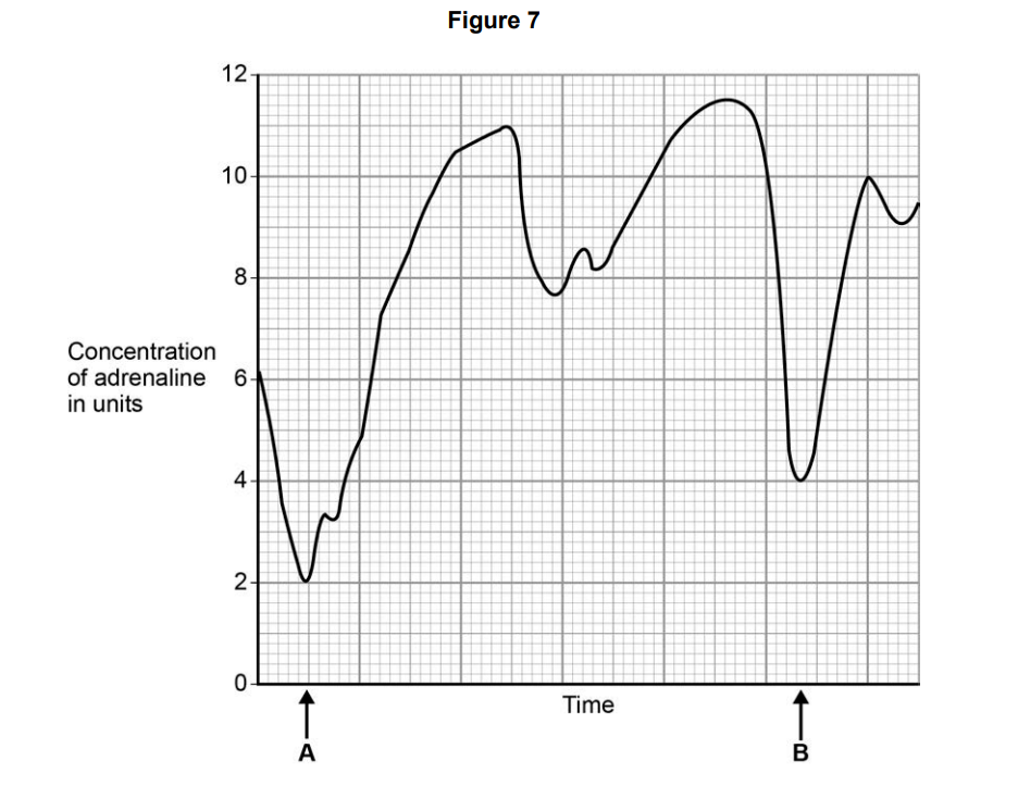 Line graph of adrenaline concentration against time, showing irregular rises and falls, with marked points A early and B later on the time axis.