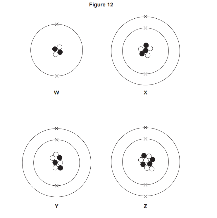 Figure of four Bohr-style atomic models labelled W, X, Y, Z, showing nuclei with different proton–neutron numbers and one or two electron shells.