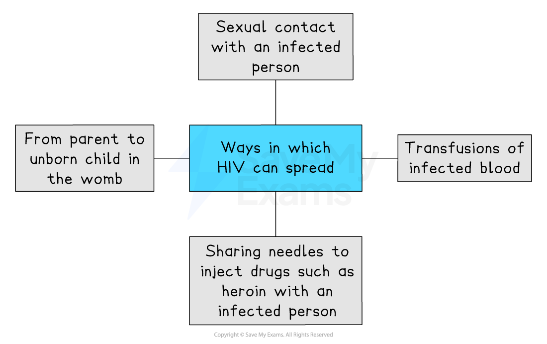 Diagram showing ways HIV can spread: sexual contact, infected blood transfusions, sharing drug needles, and from pregnant parent to unborn child.