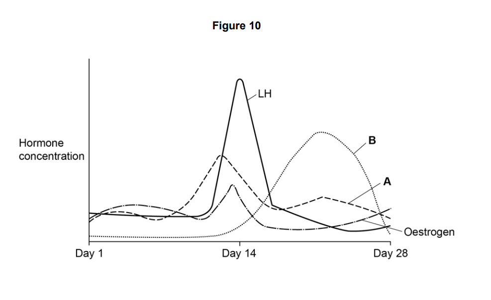 Graph of menstrual cycle hormones from day 1–28, showing LH surge at day 14 and changing levels of progesterone, oestrogen and two other labelled hormones A and B
