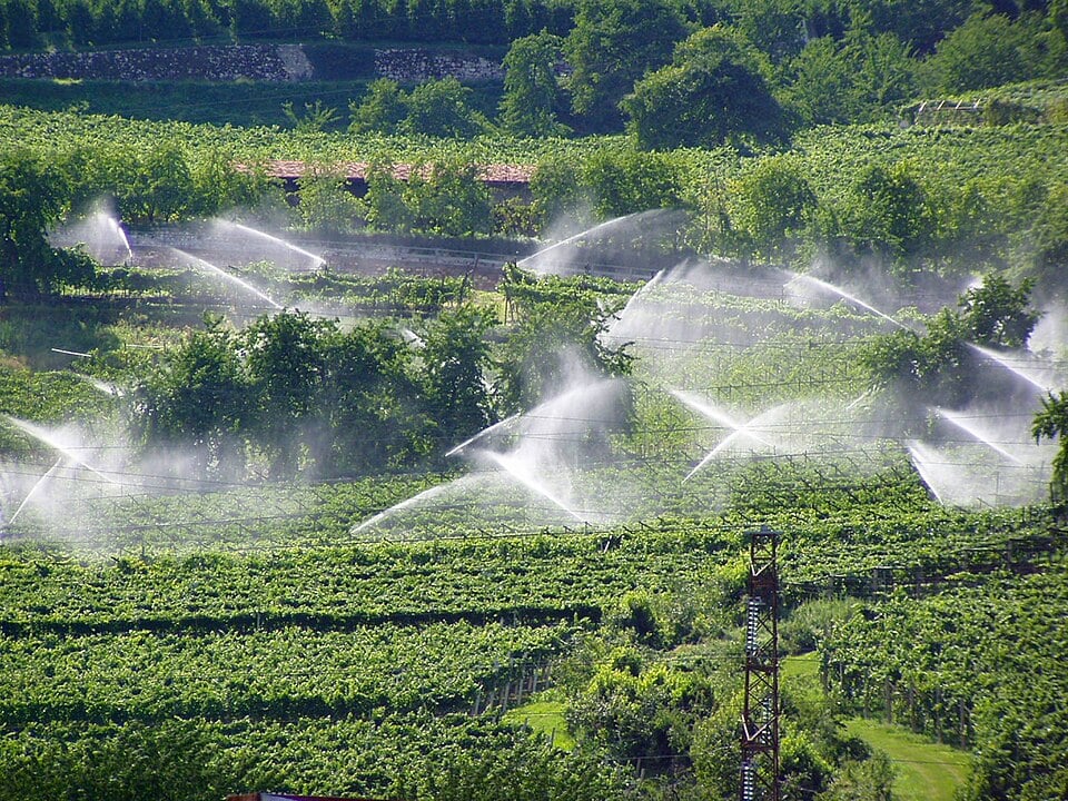 Green terraced fields being watered by multiple arcing sprinklers, with rows of crops and surrounding trees on a sunny rural hillside