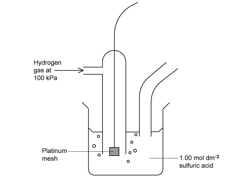 Labelled diagram of the standard hydrogen electrode