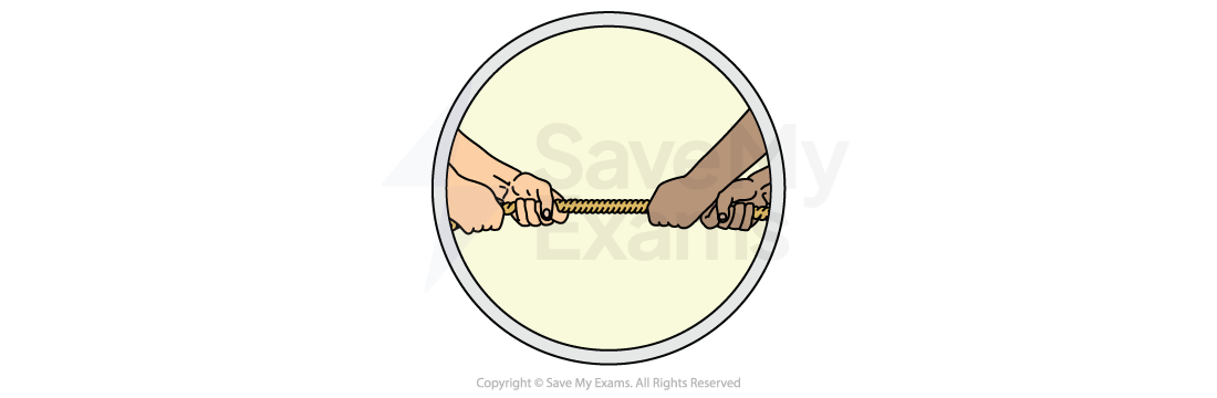 Symbol of the theme Competing Loyalties: Two pairs of hands of different skin tones pull opposite ends of a rope in a tug of war, shown inside a circular frame on a pale background
