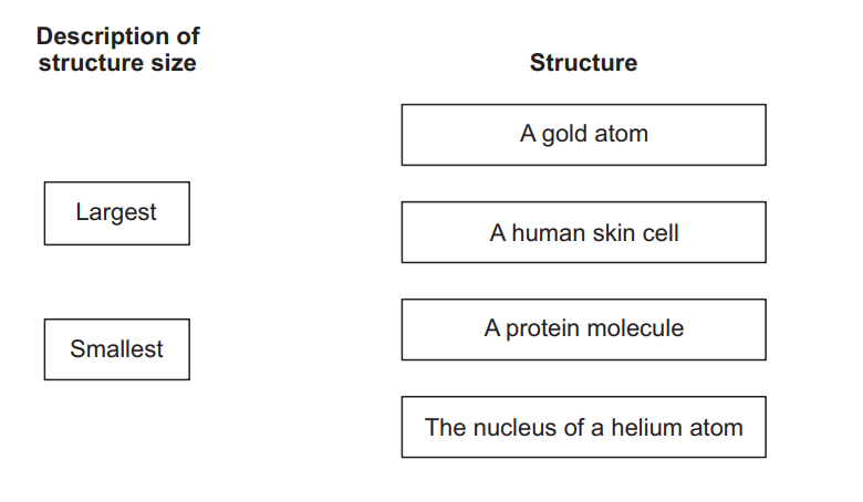 Diagram asking to order structures by size, from largest to smallest: human skin cell, gold atom, protein molecule, nucleus of a helium atom