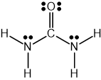 Lewis structure of urea showing the central carbonyl carbon double-bonded to oxygen and single-bonded to two NH2 groups