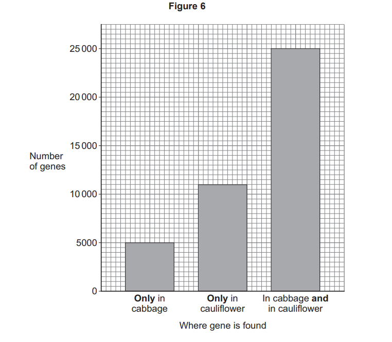 Bar chart showing gene counts: about 5,000 only in cabbage, 11,000 only in cauliflower, and 25,000 shared in both cabbage and cauliflower.
