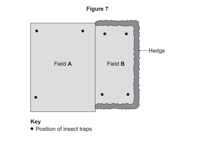Diagram of two adjacent fields, A and B, with insect traps marked as dots; field B is bordered on three sides by a hedge.