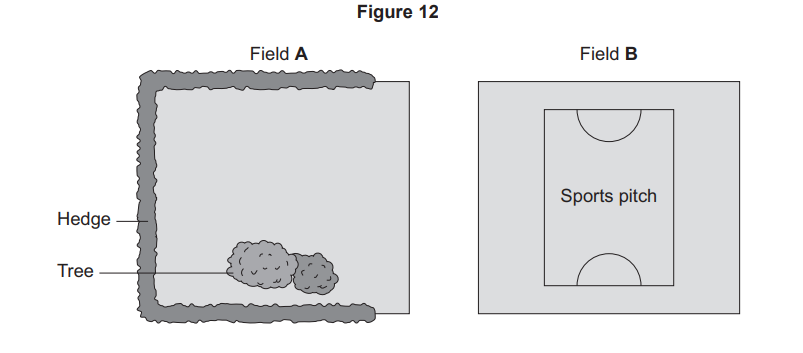 Diagram of two fields: Field A bordered on two sides by a hedge with a labelled tree inside; Field B with a marked rectangular sports pitch and goals.