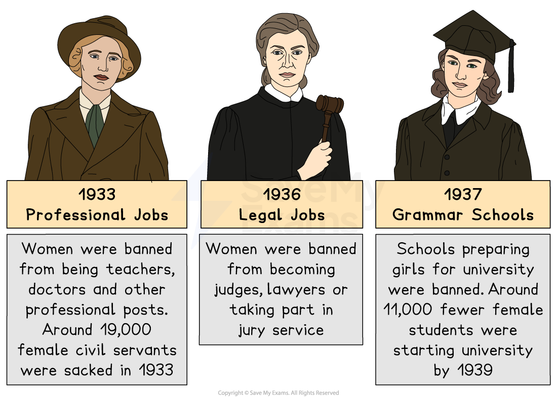 Illustration of 1930s Nazi Germany bans on women in professional, legal and grammar school education, with text explaining job losses and reduced university access