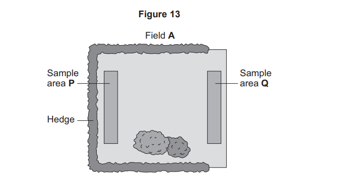 Diagram of Field A showing a hedge along the left and bottom edges, two rectangular sample areas P and Q, and two bushes near the bottom centre.