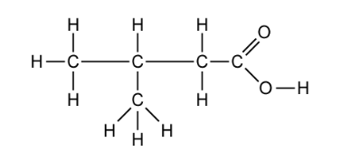 Displayed formula of a carboxylic acid, CH3CH(CH3)CH2COOH