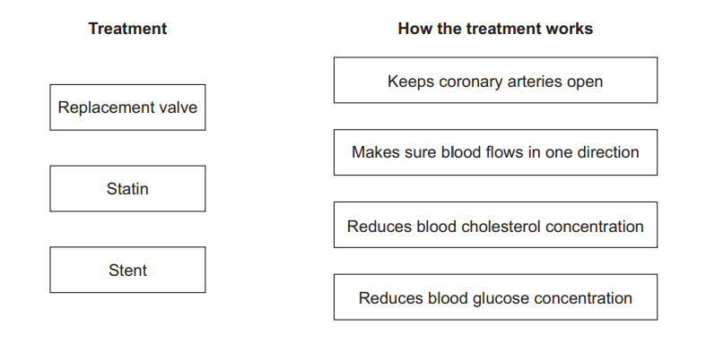 Worksheet showing three treatments (replacement valve, statin, stent) to be matched with four descriptions of how they work, including keeping coronary arteries open