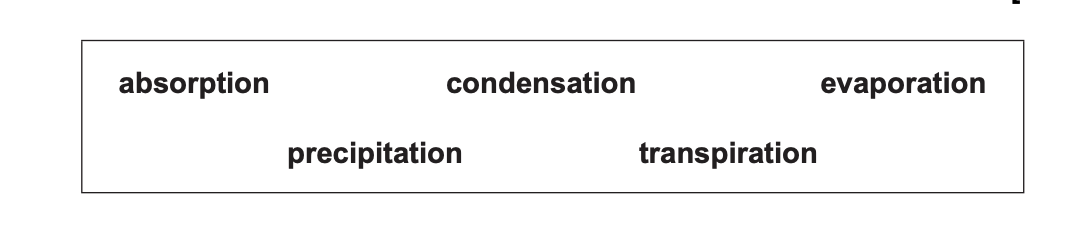 Box showing five water cycle terms in bold text: absorption, condensation, evaporation, precipitation and transpiration.