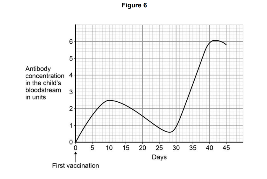 Line graph of a child’s antibody concentration over 45 days after first vaccination, rising then falling to day 28, then rapidly increasing to about 6 units