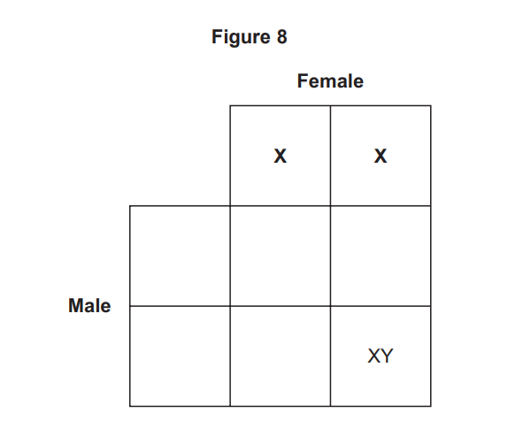 Partially filled Punnett square titled Figure 8, showing male and female sex chromosomes with X and XY in some boxes, illustrating inheritance of sex.